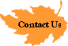 Information to contact us by phone, fax, mail or email